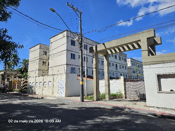 Apartamento - Venda
