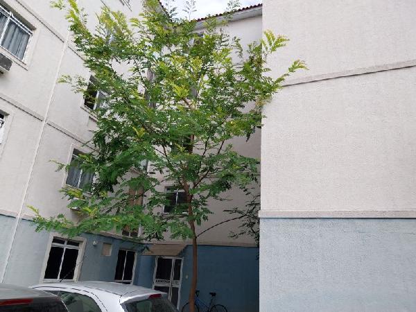Apartamento - Venda