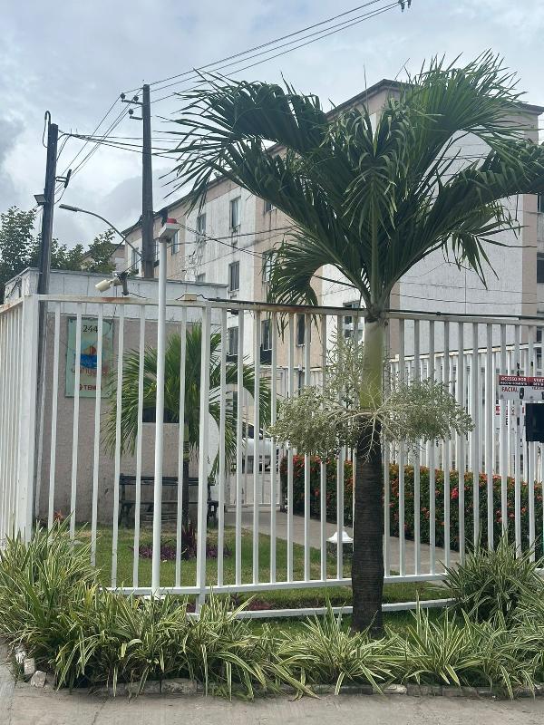 Apartamento - Venda