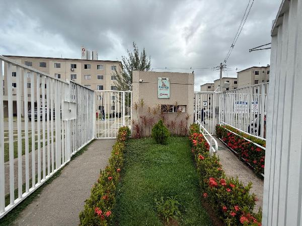 Apartamento - Venda