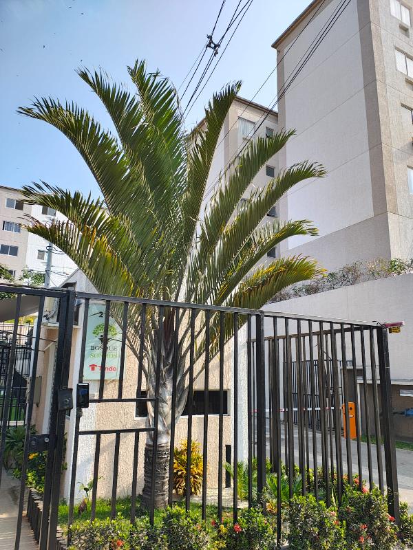 Oferta vantajosa — Apartamento no Monjolos, Sao Goncalo - RJ, Apto 303, 2 quartos, 1 vaga, 48,74m²
